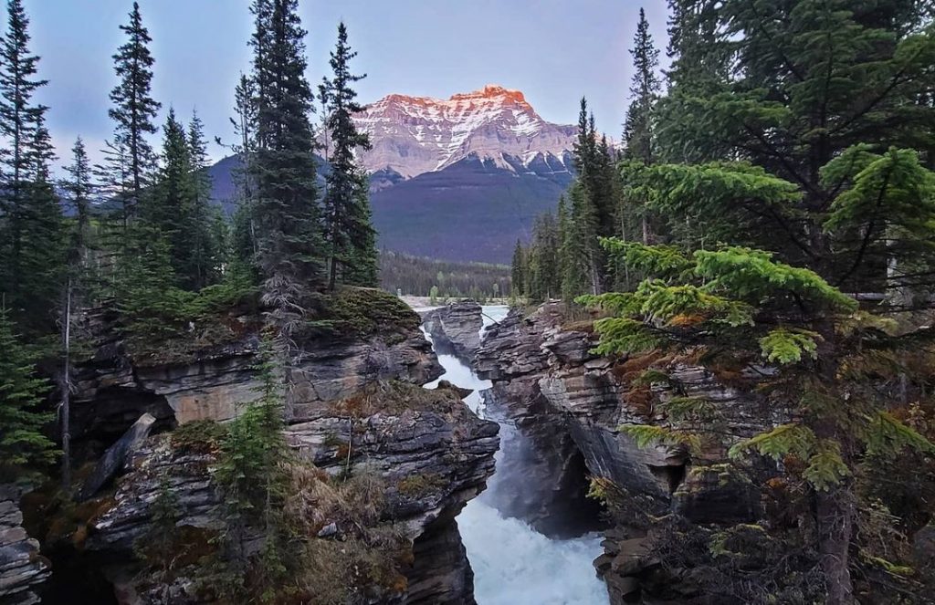 Athabasca Falls is truly breathtaking.
