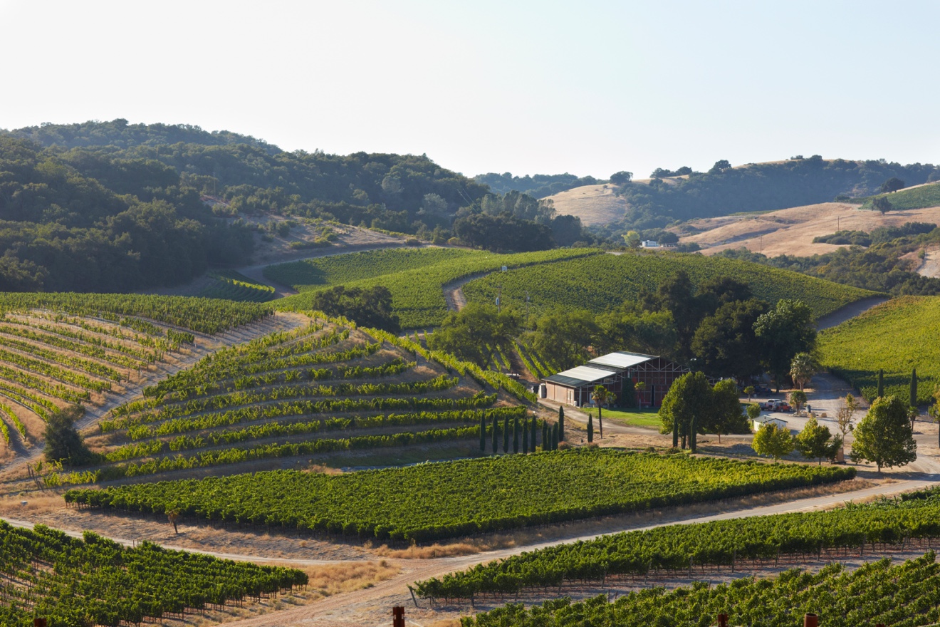 Paso Robles