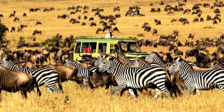 Wildlife-and-Nature-Adventures-Serengeti-National-Park