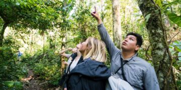 Adventurers-Guide-To-The-Amazon-Rainforest-Adventure-Daily