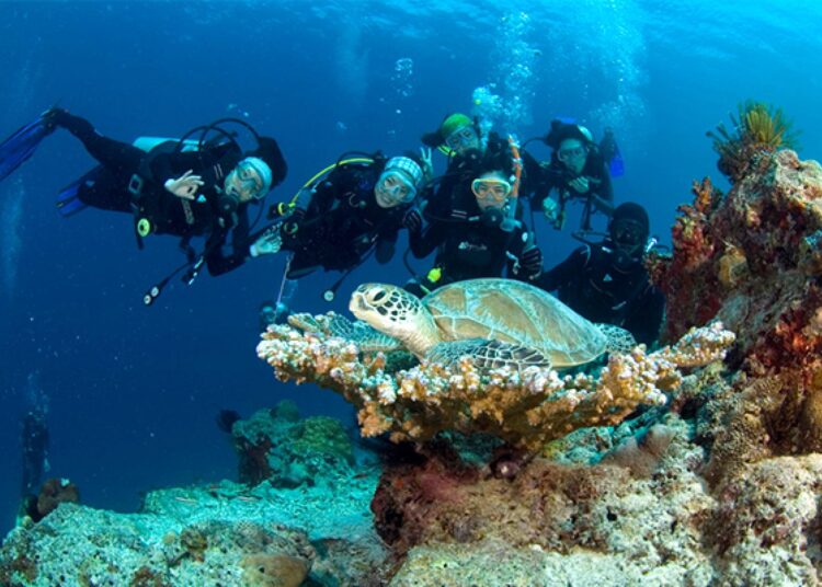 The-Thrilling-World-of-Scuba-Diving-and-Underwater-Exploration-adventuredaily